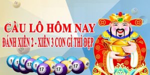 Chốt số vip miền bắc hôm nay đánh con gì?