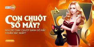 Nằm mơ thấy chuột đánh số mấy?